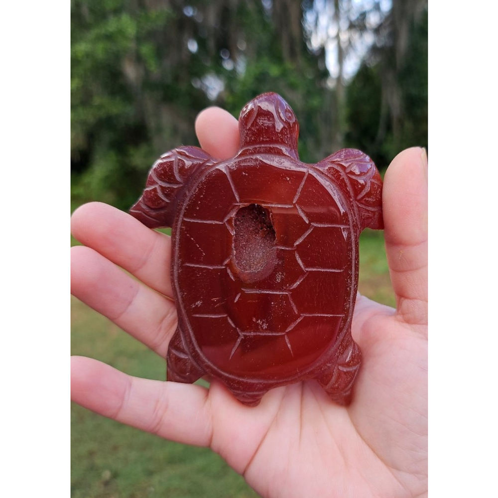 carnelian druzy turtle 4 in